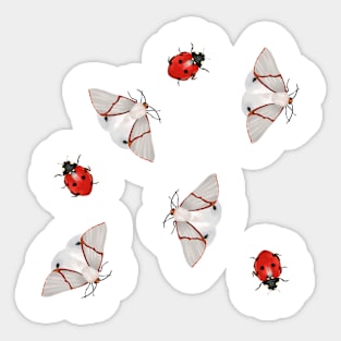 Butterflies and ladybugs Sticker